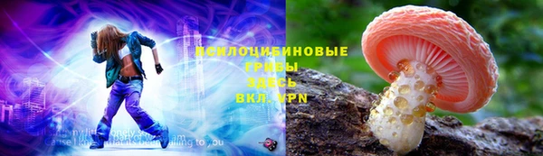 стаф Алзамай