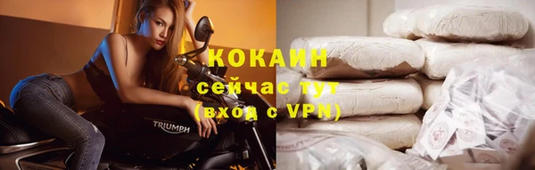 стаф Алзамай