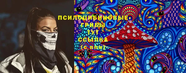 дмт Алексеевка