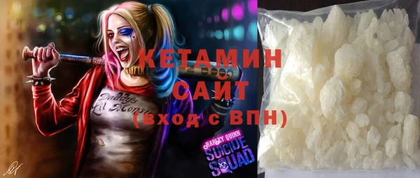 стаф Алзамай