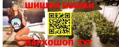 прущие грибы Владивосток