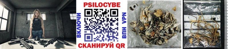 Псилоцибиновые грибы MAGIC MUSHROOMS  shop наркотические препараты  Богородск 