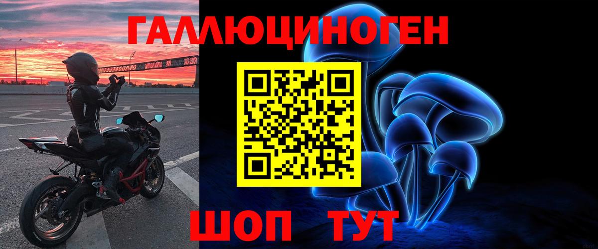 Псилоцибиновые грибы прущие грибы  Вход с VPN  Богородск  купить  цена  Псилоцибиновые грибы Psilocybine cubensis 